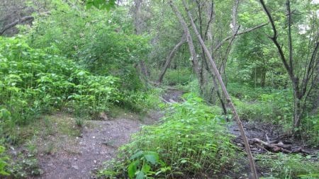 Countryside Outdoor Classroom Moving Forward
