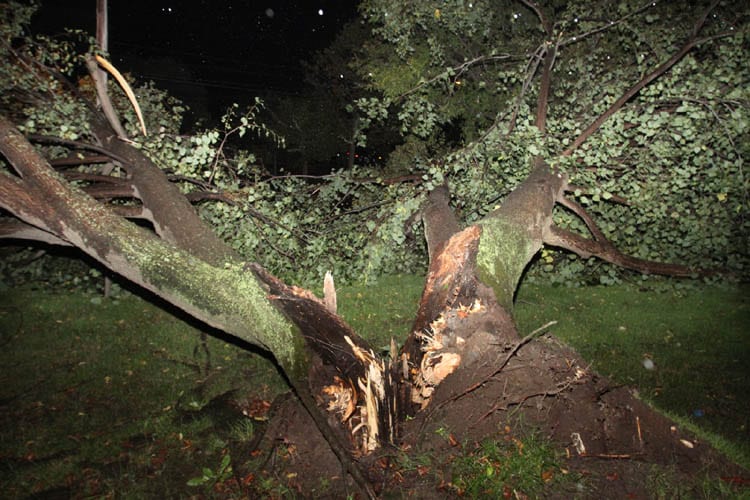 How are the streets, sidewalks and trees in your village?