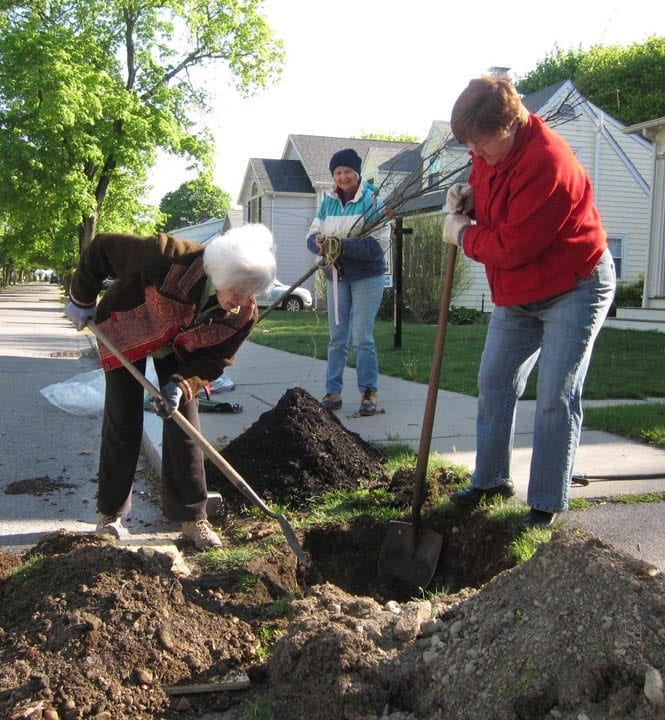 Spring 2013 Community Tree Plantings application deadline October 8
