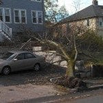Tree down in front of a house on Langley Rd Newton Centre | Village 14 | Newton MA News and Politics Blog