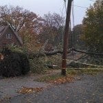 Tree down at Rowena and Rotherwood Newton Centre Looking west | Village 14 | Newton MA News and Politics Blog