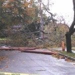 Tree down at Rowena and Rotherwood looking east | Village 14 | Newton MA News and Politics Blog