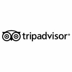 TripAdvisor looking to leave Newton for Needham