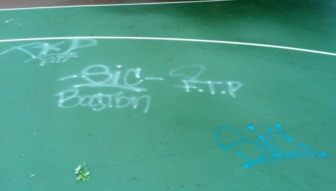 Really stupid tree vandalism at Wellington Park