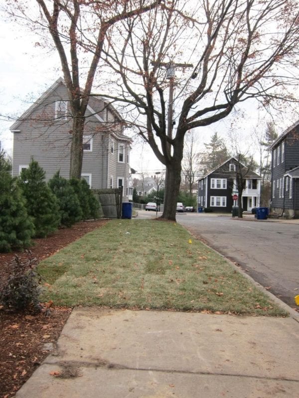 Grass sidewalks: another public way that’s looking a little less public