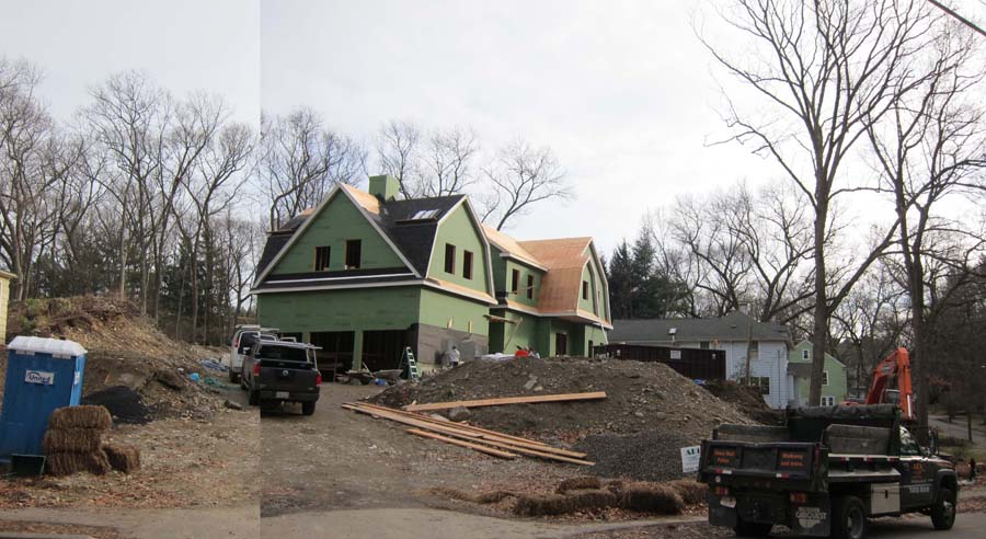 Tree preservation on the agenda at Programs & Services tonight