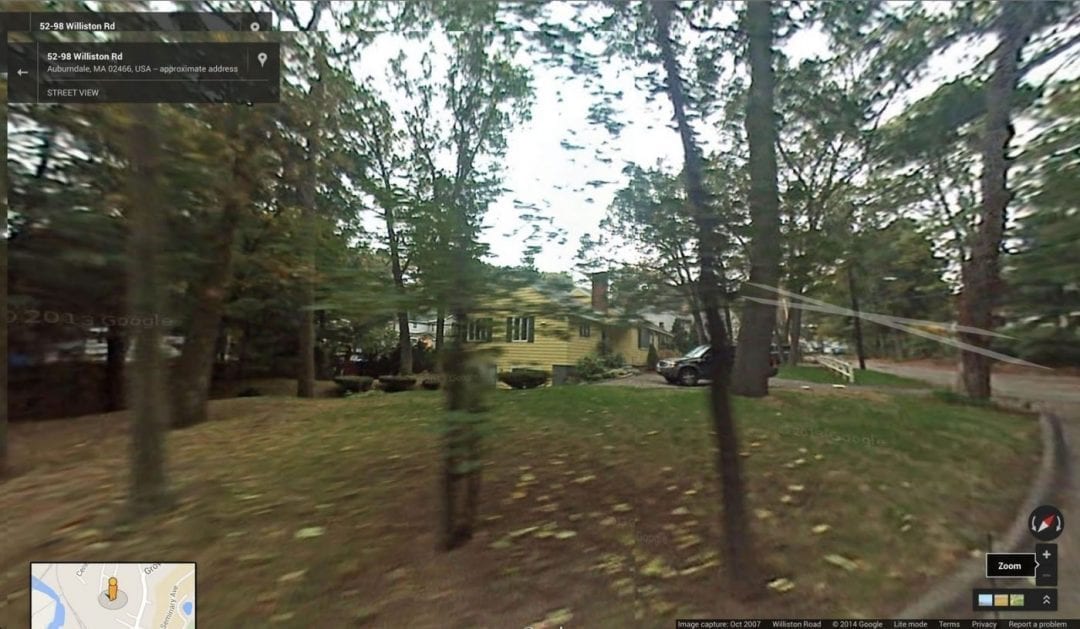 Tree Preservation Ordinance back at Programs & Services