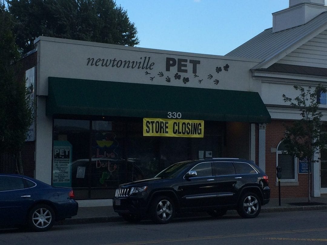 Closings and Openings in Newton