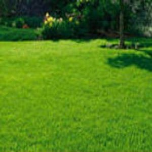 Are you still watering your lawn?