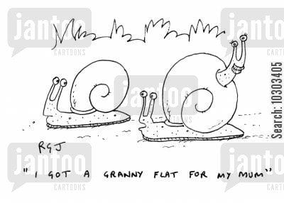 Accessory Apartment ordinance hearing tonight