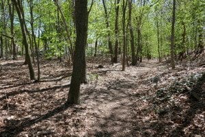 Walk the pipes with the Conservators
