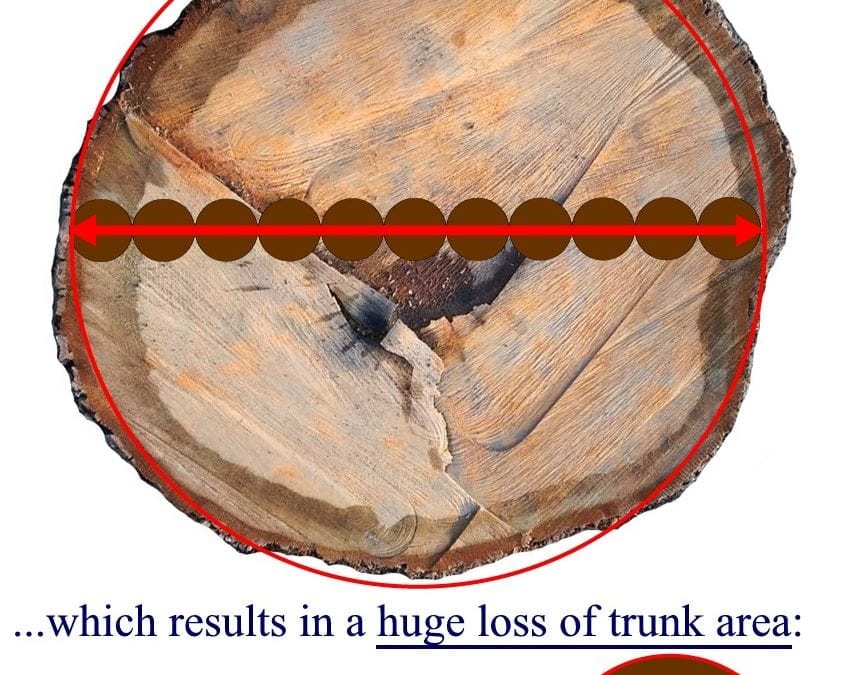 No, we don’t exactly replace trees…