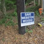Fuller explores ways to Save Webster Woods