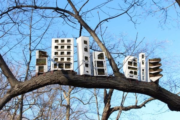 “A simple walk into a visual adventure”