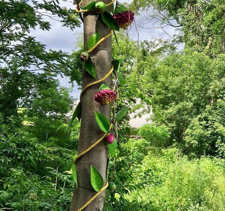 Art on the loose in Upper Falls