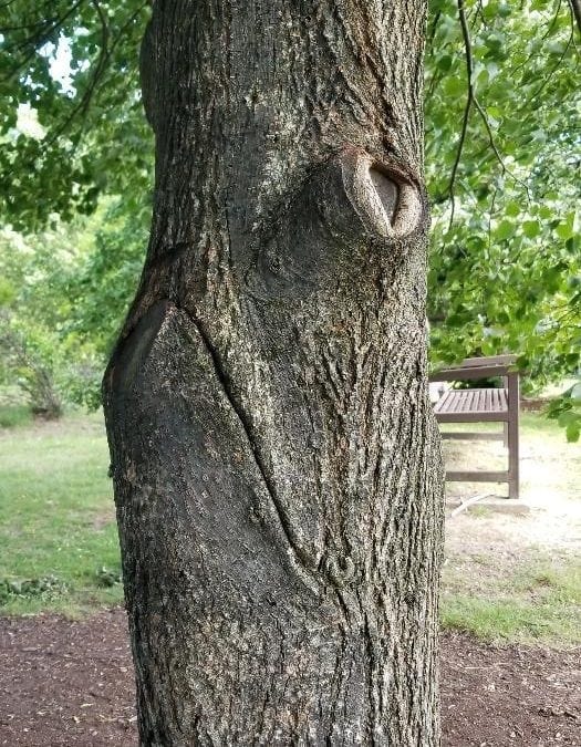 Watch your toes in Lower Falls