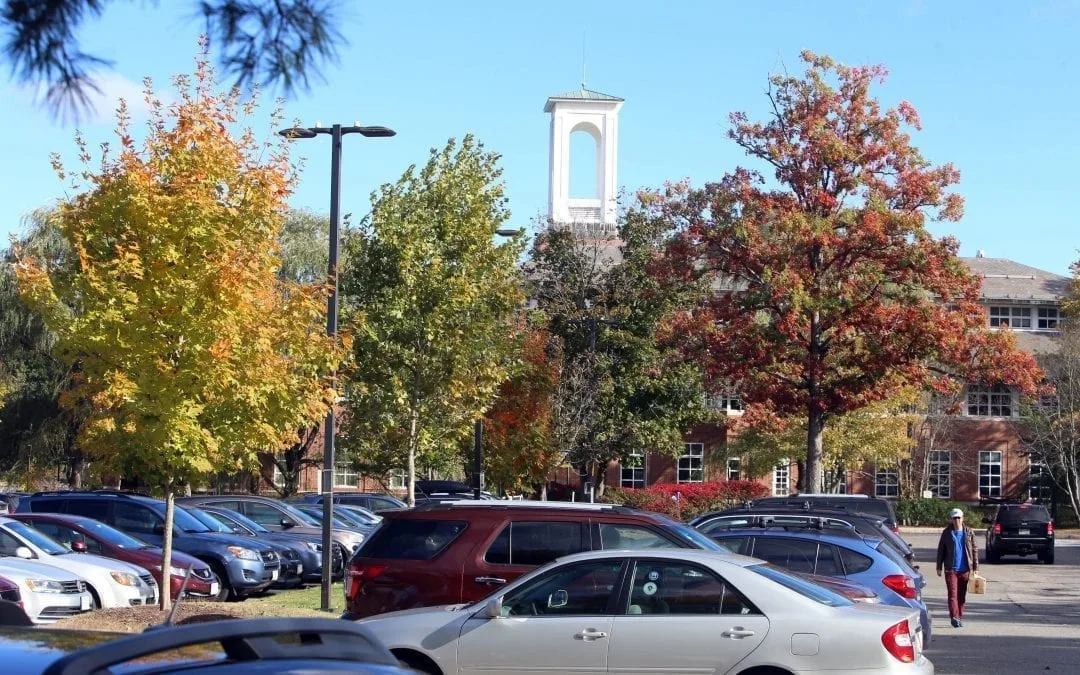 Deja vu on Library parking lot trees and solar carports, but there’s more…