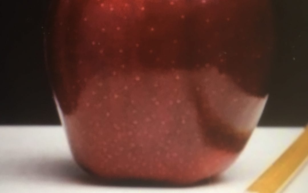 Later High School Start Times and Shorter Class Days May be Closer