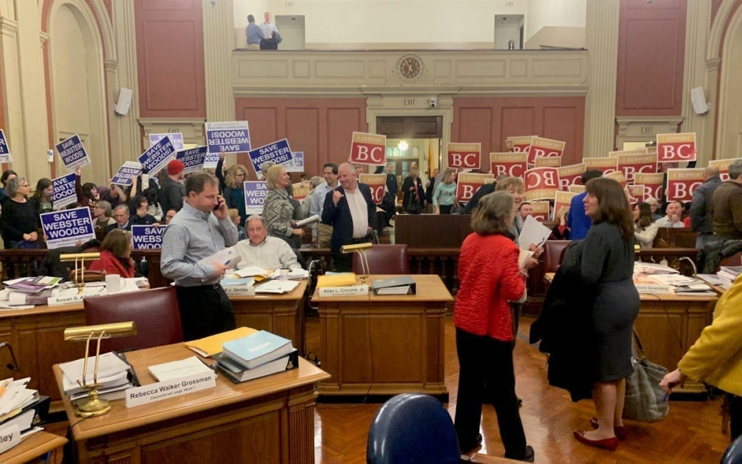 Council Gives Preliminary Approval to Webster Woods