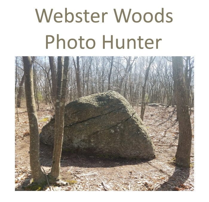 Photo Hunter – Webster Woods