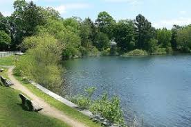 Crystal Lake closed for swimming due to bacteria