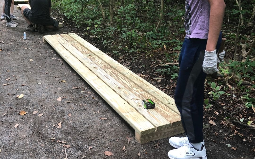 Caring for Cold Spring Park