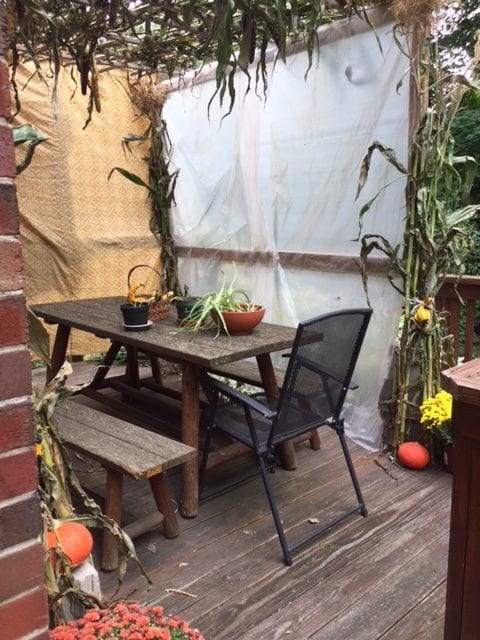 A Sukkah for the era of the Pandemic