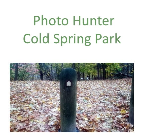 Students create outdoor activity for everyone