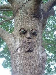 Newton Conservators lobby for return of the Alderfolks