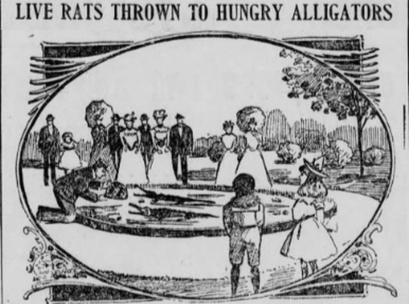 Alligators for City Hall fountain?