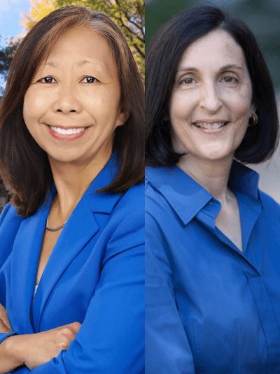 Mayoral candidates and their single-family boxes