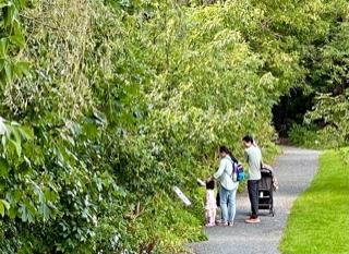 Nature Story Walks in our parks