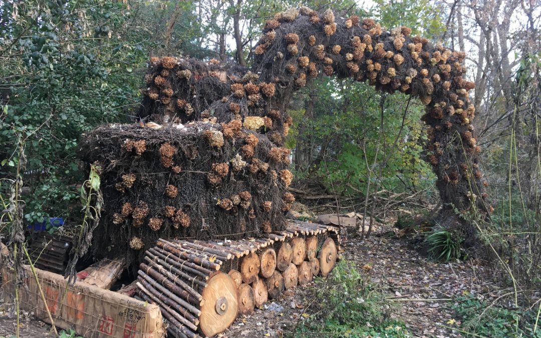 Somebody’s been busy at Cold Spring Park