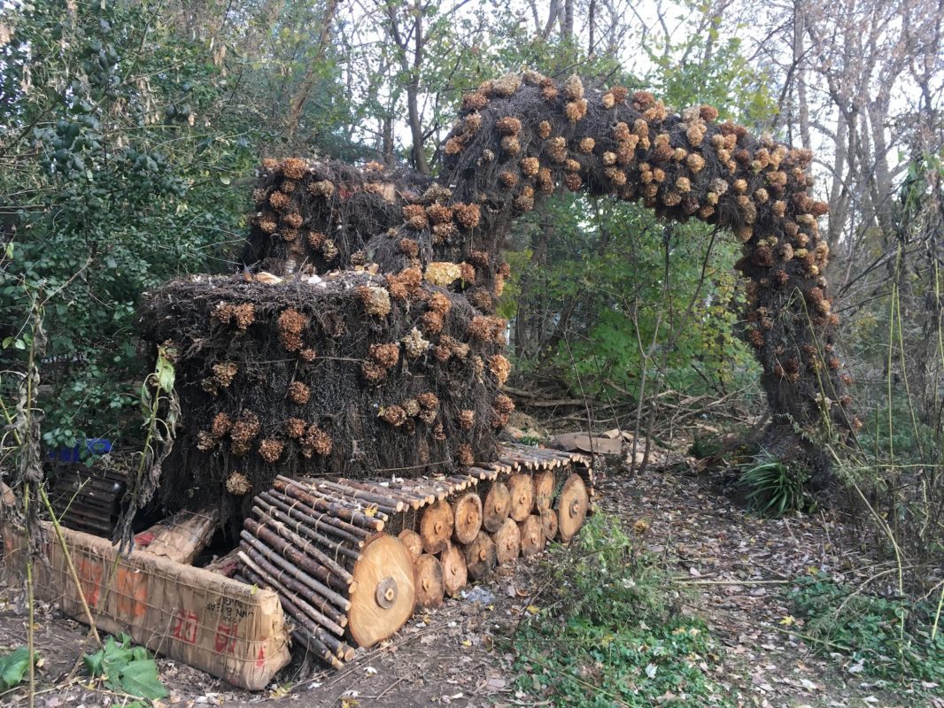 Somebody’s been busy at Cold Spring Park