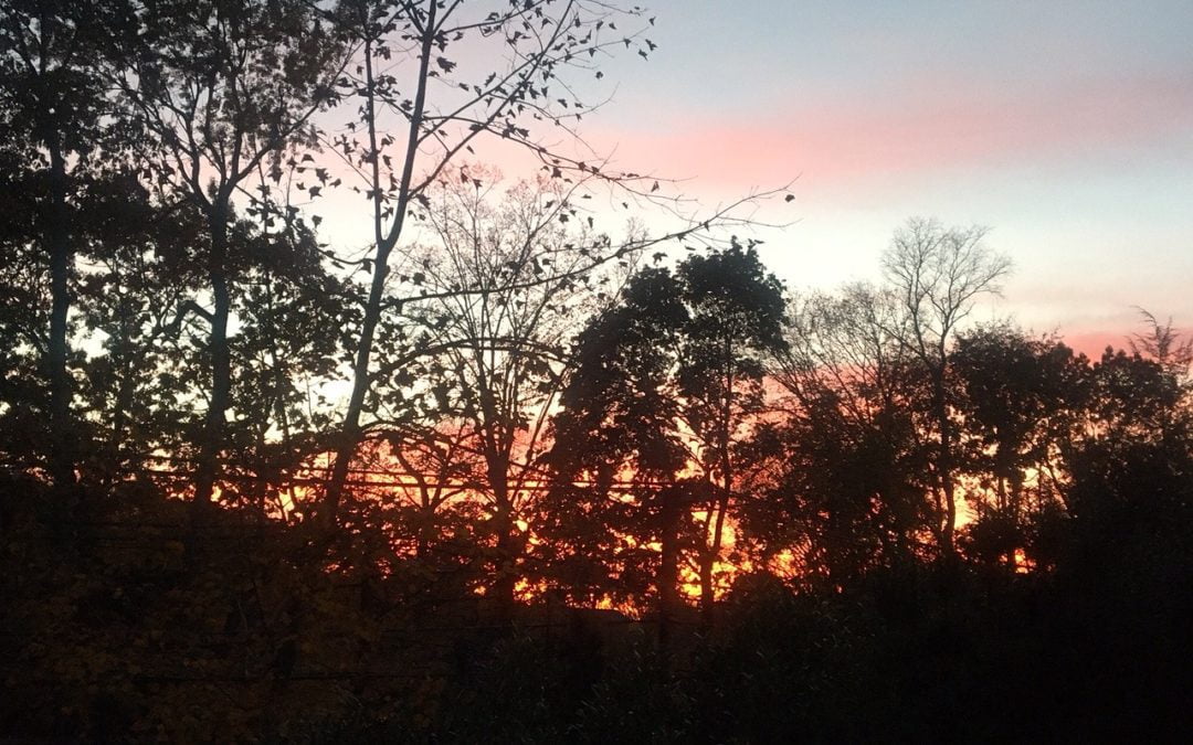 And now for something completely different – here’s a beautiful sunset