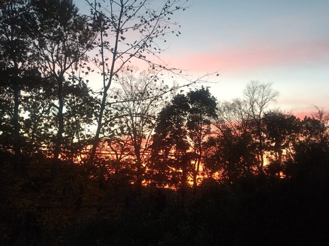 And now for something completely different – here’s a beautiful sunset