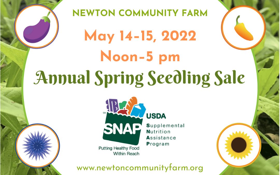 Newton Community Farm’s Annual Seedling Sale – Saturday and Sunday!