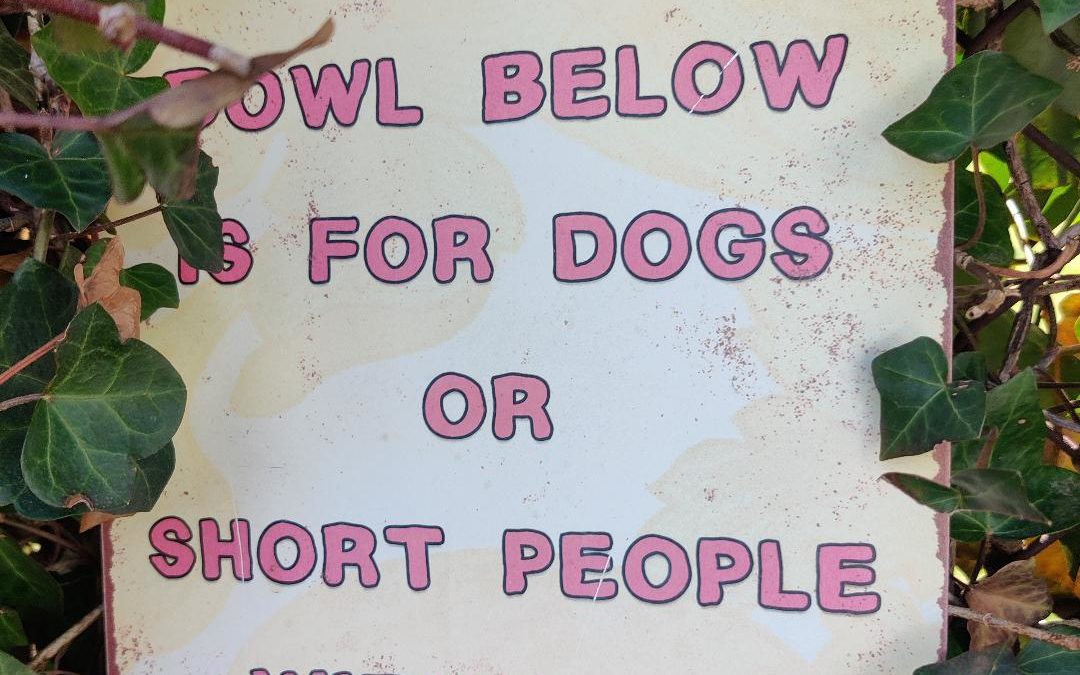 Neighbor provides water for those close to the ground