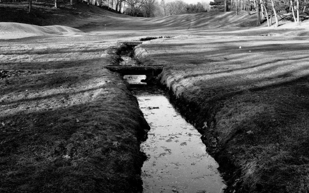 Cheesecake Brook & Other Waters of Newton