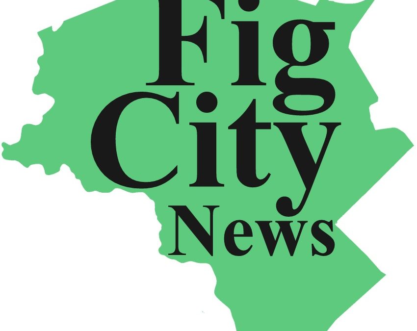Introducing Fig City News!