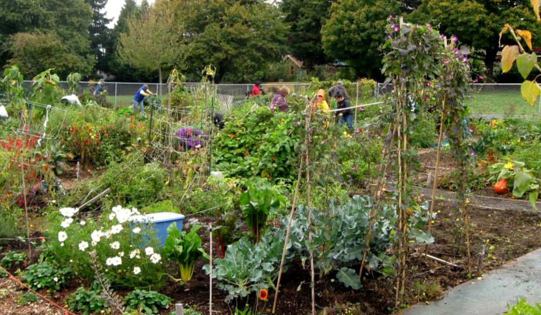 Want a new community garden?