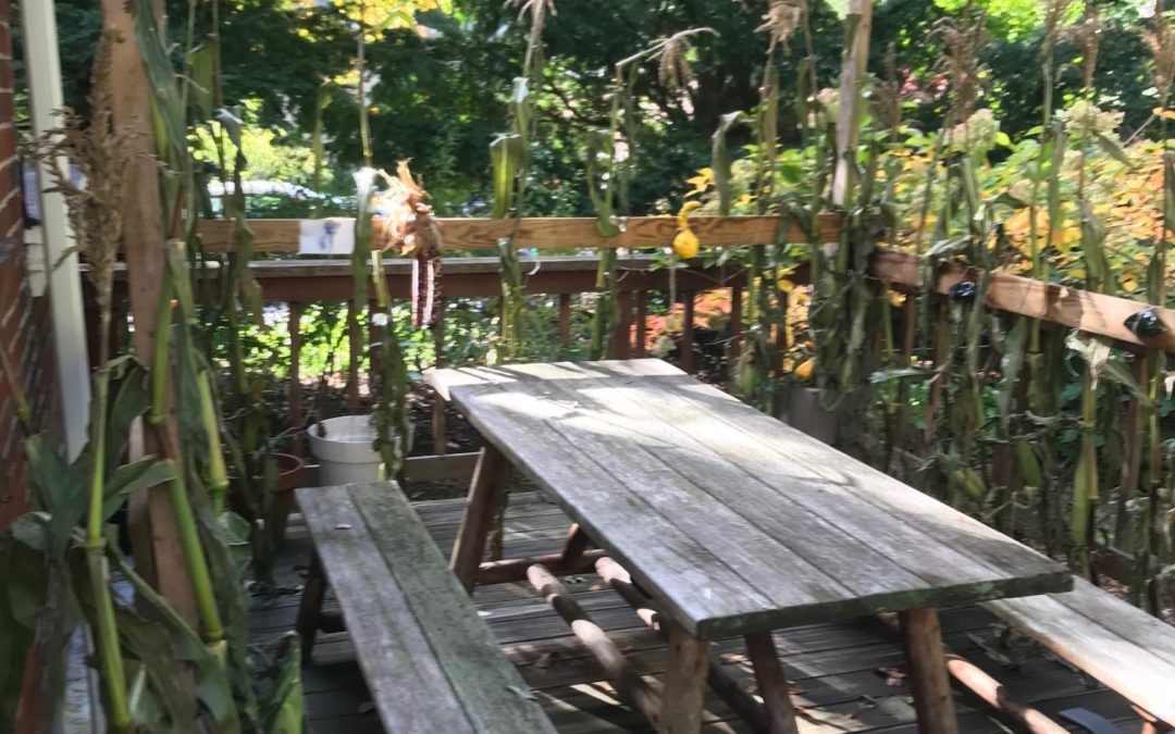 Still Riding, Still Dreaming