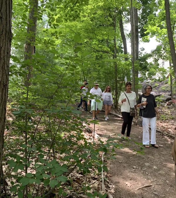 Martin Poetry Path opens Sunday at 11 AM – rain or shine